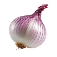 isolated fresh onion, ai generative png