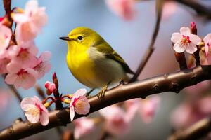 amarillo pájaro en sakura árbol, ai generativo foto