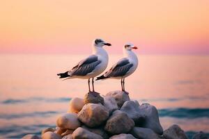 gaviotas sentado en un rock en frente de un rosa, ai generativo cielo foto