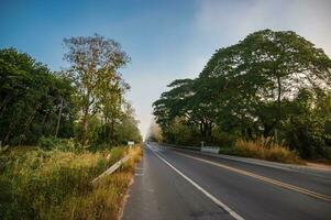 Beautiful road with morning fog in the rural of nan city thailand. photo