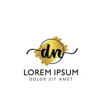 DN Initial Handwriting gold Brush Template Design vector