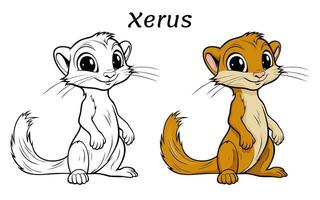 Xerus Very Cute Animal Coloring Book Baby Animal Illustration vector