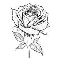 Free vector line art rose flower