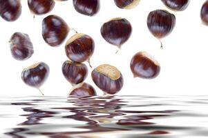 a group of chestnuts floating in water photo