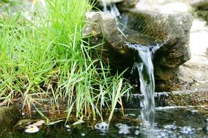 a small waterfall flowing out of a rock photo