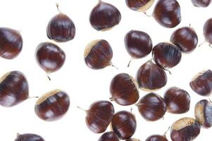 a group of chestnuts on a white background photo