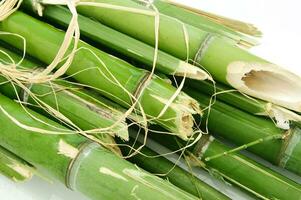 a bunch of bamboo sticks tied together with twine photo