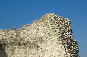 a stone wall with a large bird on it photo