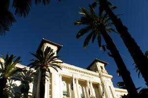 a street light with palm trees in front of it photo