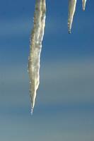 icicles hanging from a tree in the sky photo