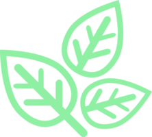 leave tree icon png