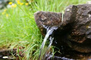 a small waterfall flowing out of a rock photo