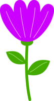 söt mexikansk aster eller kosmos blommor png