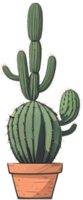 Cactus in Pot AI Generative png