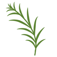 Green botanical leaves png