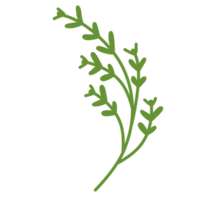 groen botanisch bladeren png