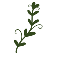 groen botanisch bladeren png