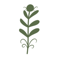 groen botanisch bladeren png