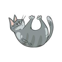 Cute playful cat. Grey kitten in hand drawn style. Vector illustration isolated on white background.