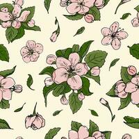 Seamless cherry flowers pattern. Vector hand drawn cherry blossom for textile, fabric, wallpaper, wrapping paper. Cute female pattern.