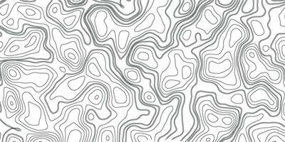 Topographic Background. Black Topographic with White Background. topography map vector