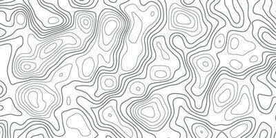 Topographic Background. Gray and White Abstract Background with Wavy Lines. Black and White Pattern of Lines and Curves. Topographic Topography vector