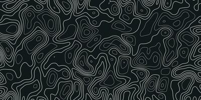 Topographic Background. Topography Map. Black and White Seamless Pattern. Black and White Pattern with Lines vector