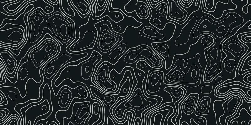 Topographic Background. Topography Map. Black and White Seamless Pattern. Black and White Pattern with Lines