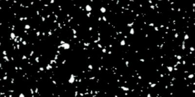 Falling Snow Isolated on Black Background. Winter Snowfall Illustration. Winter Night Snowfall and Snowstorm of Snow. Winter Weather. Abstract Winter Background. Flying Particles on Black Background vector