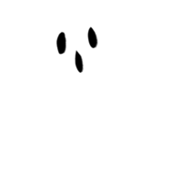 fantasma ilustración de halloween png