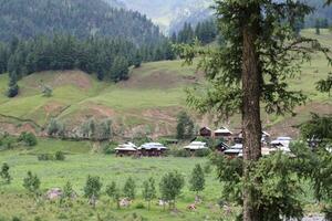 Scenic view of the natural beauty of Tao Butt, Neelum Valley, Kashmir.  Tao Butt is famous for its lush green trees and natural beauty. photo