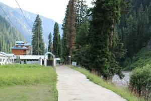 Scenic view of the natural beauty of Tao Butt, Neelum Valley, Kashmir.  Tao Butt is famous for its lush green trees and natural beauty. photo