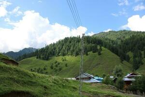 Scenic view of the natural beauty of Tao Butt, Neelum Valley, Kashmir.  Tao Butt is famous for its lush green trees and natural beauty. photo