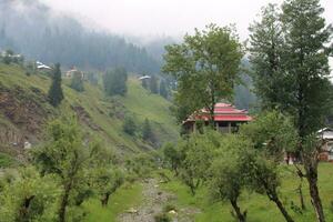 escénico ver de el natural belleza de tao culata, neelum valle, cachemir. tao extremo es famoso para sus lozano verde arboles y natural belleza. foto