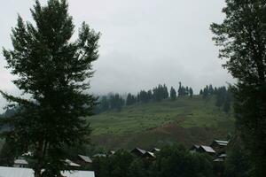 Scenic view of the natural beauty of Tao Butt, Neelum Valley, Kashmir.  Tao Butt is famous for its lush green trees and natural beauty. photo