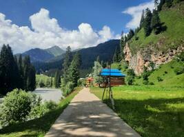 Scenic view of the natural beauty of Tao Butt, Neelum Valley, Kashmir.  Tao Butt is famous for its lush green trees and natural beauty. photo