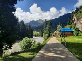 Scenic view of the natural beauty of Tao Butt, Neelum Valley, Kashmir.  Tao Butt is famous for its lush green trees and natural beauty. photo