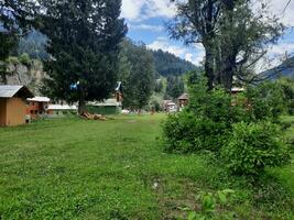 escénico ver de el natural belleza de tao culata, neelum valle, cachemir. tao extremo es famoso para sus lozano verde arboles y natural belleza. foto