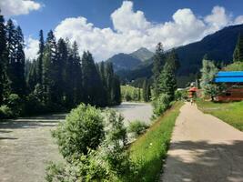 Scenic view of the natural beauty of Tao Butt, Neelum Valley, Kashmir.  Tao Butt is famous for its lush green trees and natural beauty. photo