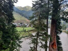 escénico ver de el natural belleza de tao culata, neelum valle, cachemir. tao extremo es famoso para sus lozano verde arboles y natural belleza. foto