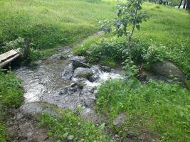 Scenic view of the natural beauty of Tao Butt, Neelum Valley, Kashmir.  Tao Butt is famous for its lush green trees and natural beauty. photo