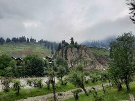 Scenic view of the natural beauty of Tao Butt, Neelum Valley, Kashmir.  Tao Butt is famous for its lush green trees and natural beauty. photo