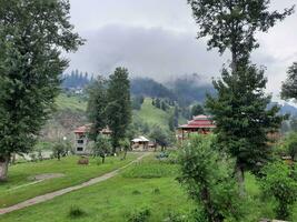 Scenic view of the natural beauty of Tao Butt, Neelum Valley, Kashmir.  Tao Butt is famous for its lush green trees and natural beauty. photo