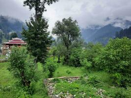 escénico ver de el natural belleza de tao culata, neelum valle, cachemir. tao extremo es famoso para sus lozano verde arboles y natural belleza. foto