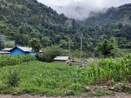 Beautiful day time view of natural beauty of Jagran, Neelum Valley, Kashmir. Jagran, Neelam Valley is famous for its natural beauty. photo