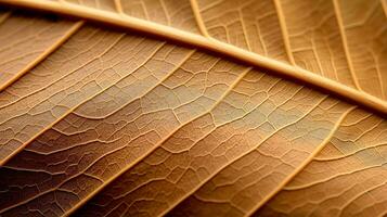 Close up texture leaf structure macro photography, abstract texture, Generative AI illustration photo