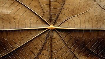 Close up texture leaf structure macro photography, abstract texture, Generative AI illustration photo