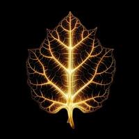 Abstract holographic of leaf multicolor on black background, Generative AI illustration photo