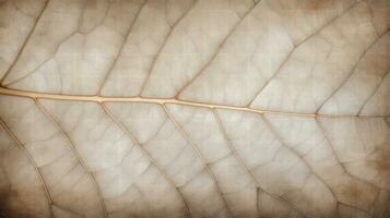 Close up texture leaf structure macro photography, abstract texture, Generative AI illustration photo