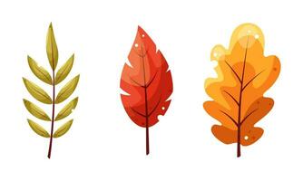 Autumn leaves of oak, birch, rowan set, isolated on a white background. Simple cartoon flat style. Isolated vector illustration. Design for stickers, logo, website and mobile app.